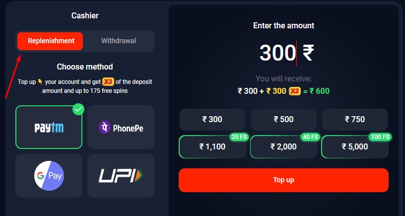 Deposit Methods at TopX